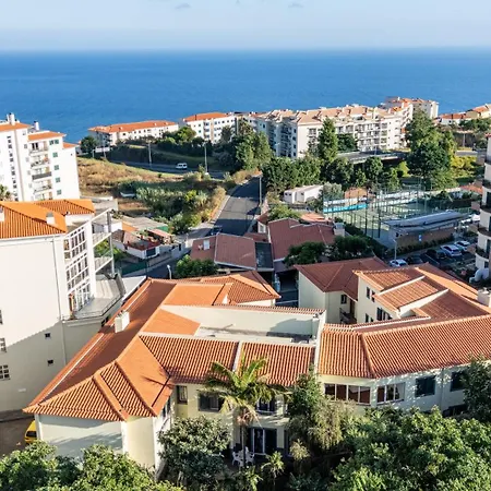 Palm Tree By Your Key