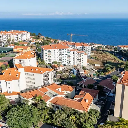 Palm Tree By Your Key