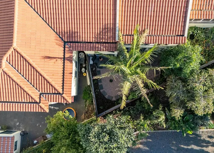 Palm Tree By Your Key カニコ