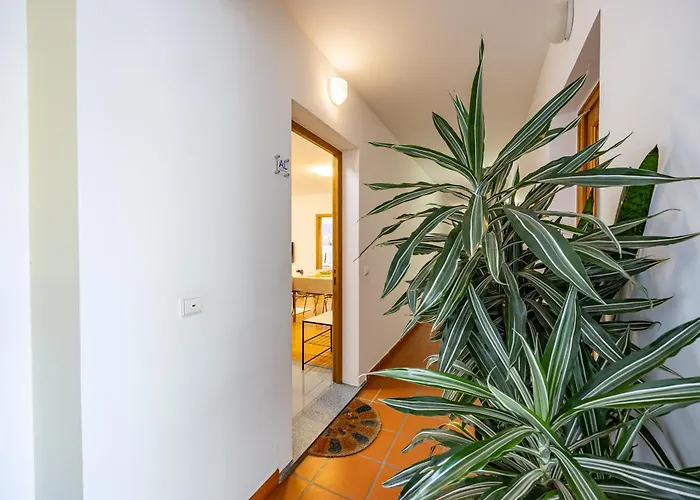 Palm Tree By Your Key カニコ