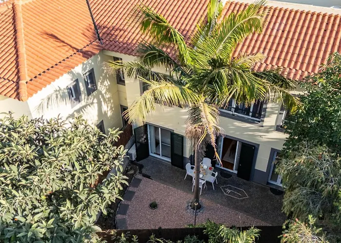 Palm Tree By Your Key カニコ