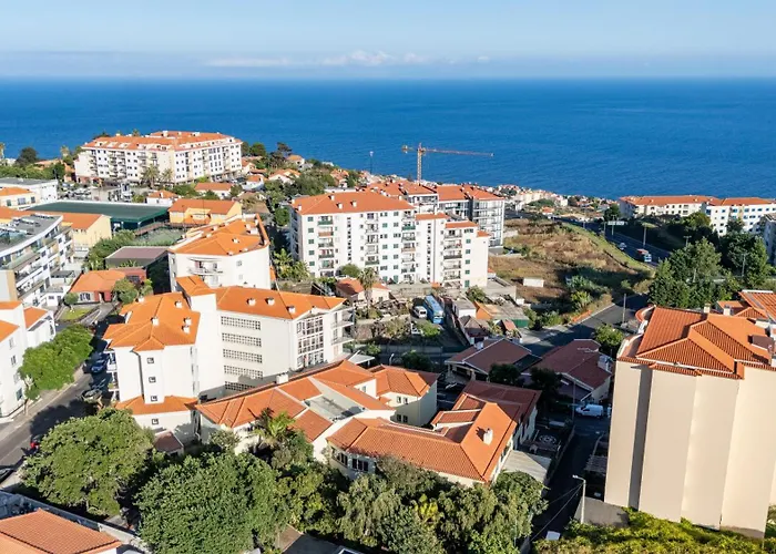 Palm Tree By Your Key