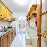 Palm Tree By Your Key