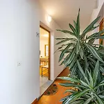 Palm Tree By Your Key Caniço