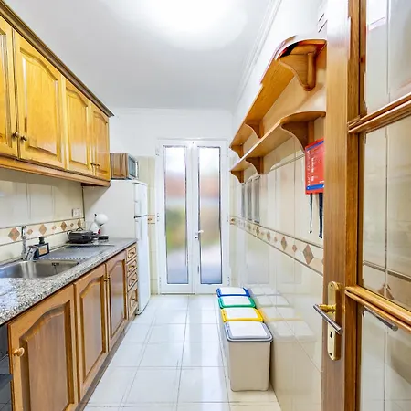 Palm Tree By Your Key