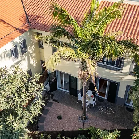 Palm Tree By Your Key Канису