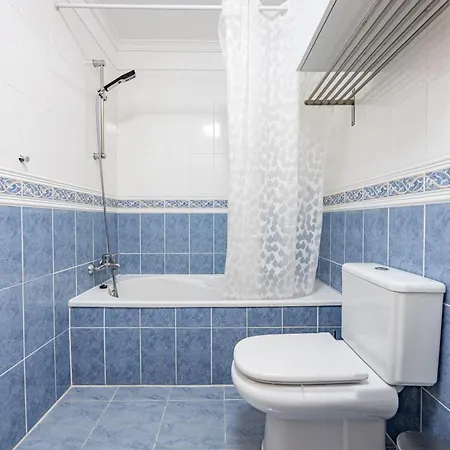 Palm Tree By Your Key Канису