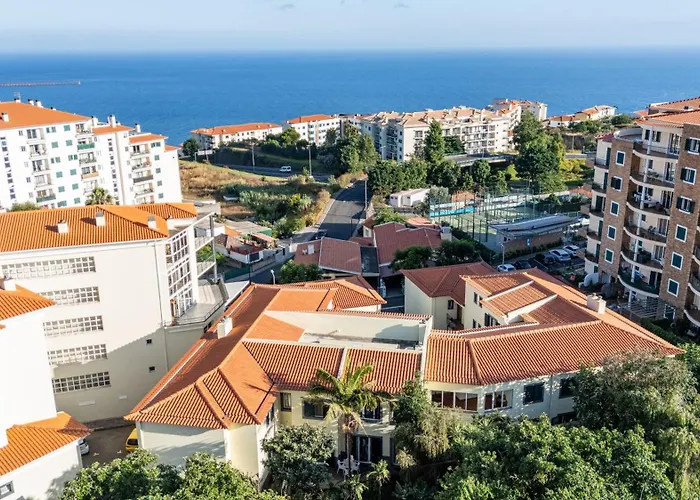 Palm Tree By Your Key