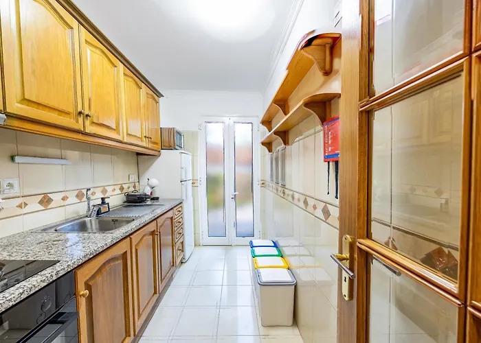 Palm Tree By Your Key