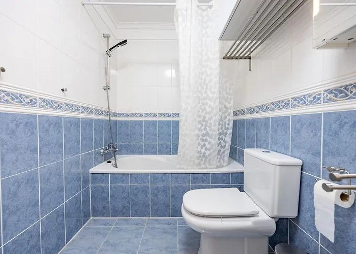 Palm Tree By Your Key 卡尼索